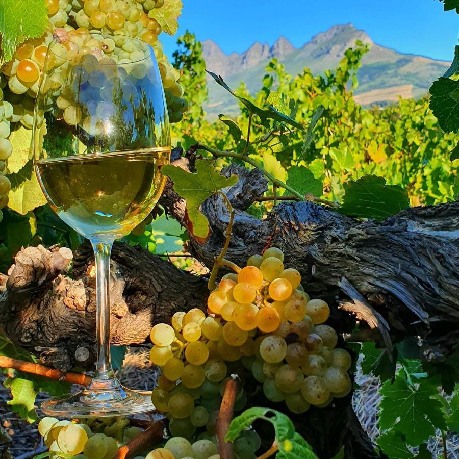 Raithby Winelands Historical Cottage Luaran gambar